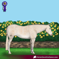 Horse Color:Cremello and Smoky Creme
