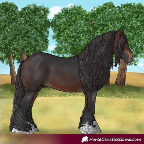 Horse Color:Brown