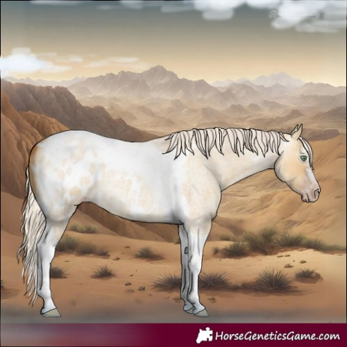 Horse Color:Gray Silver Amber Cream Champagne Roan Dun Splash Tobiano Frame Blanket Rabicano