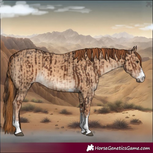 Horse Color:Liver Chestnut  and Red Dun 