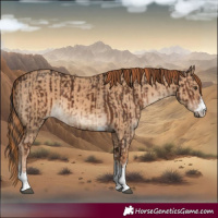 Horse Color:Liver Chestnut and Red Dun