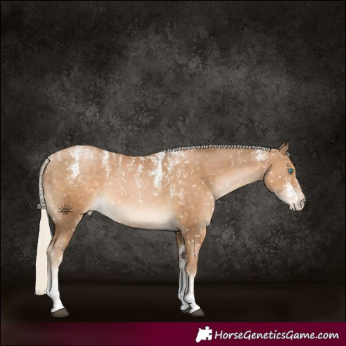 Horse Color:Powder White Chocolate Palomino Skewed LP Spotted