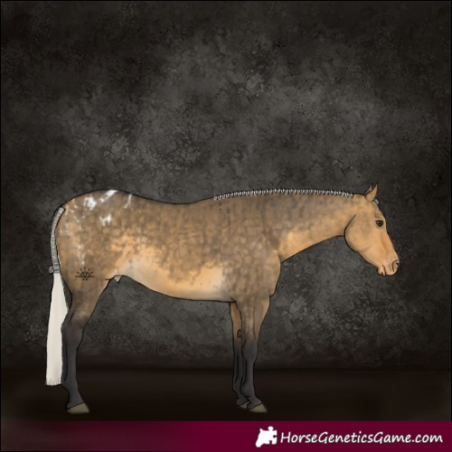 Horse Color:Silver Buckskin Dun Varnish and Silver Buckskin Dun Varnish