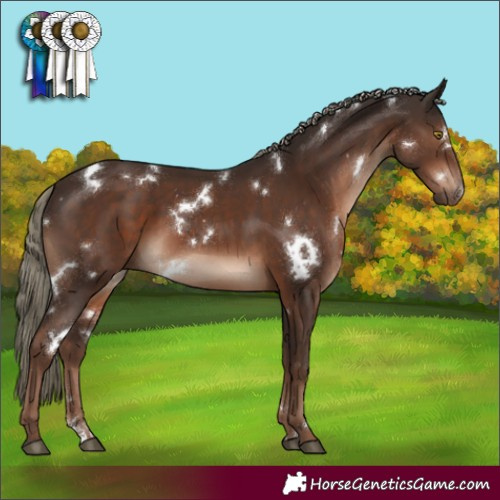 Horse Color:White Spotted Liver Chestnut Mushroom Sabino 