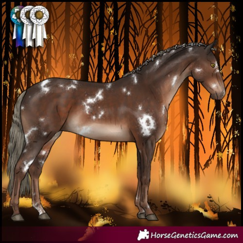 Horse Color:White Spotted Liver Chestnut Mushroom Sabino
