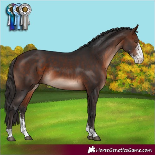 Horse Color:Bay Mushroom Sabino