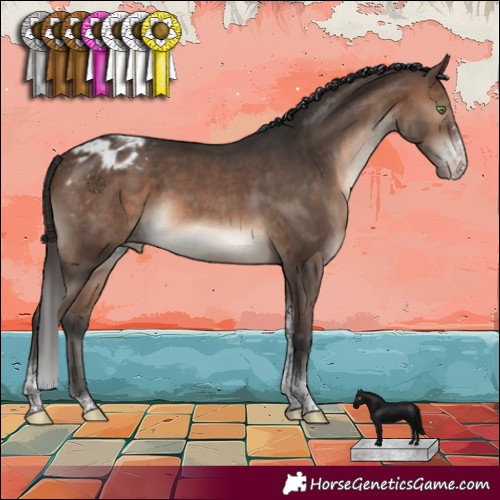 Horse Color:Brown Mushroom Sabino Tobiano Varnish