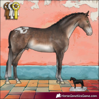 Horse Color:Brown Mushroom Sabino Tobiano Appaloosa 