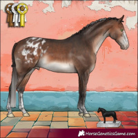 Horse Color:Brown Mushroom Sabino Tobiano Appaloosa