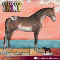 Horse Color:Brown Mushroom Sabino Tobiano Varnish