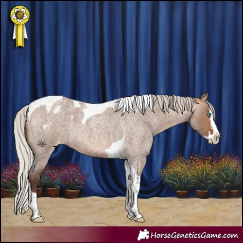 Horse Color:Silver Bay Roan Dun Splash Tobiano Blanket Rabicano