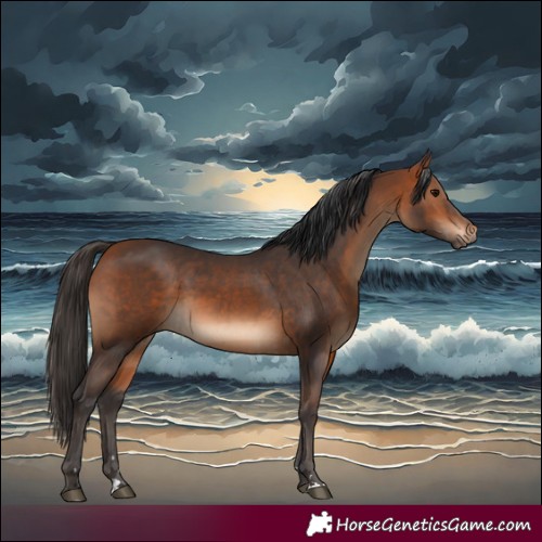 Horse Color:Bay and Bay