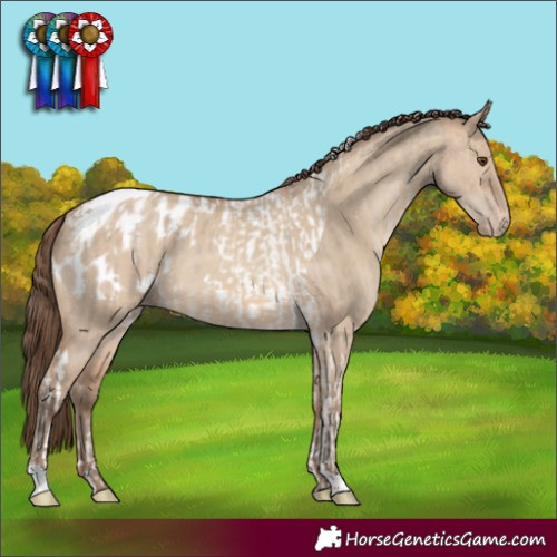 Horse Color:Classic Champagne Dun Tobiano Appaloosa Rabicano  and Amber Champagne Dun Appaloosa 