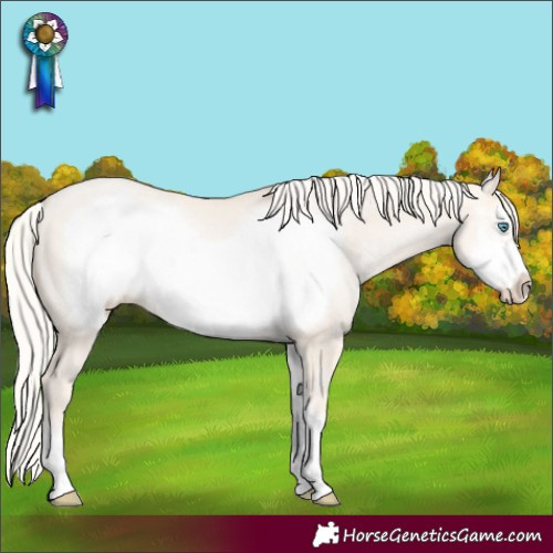 Horse Color:Gold Cream Champagne Pearl Dun Sabino Frame 