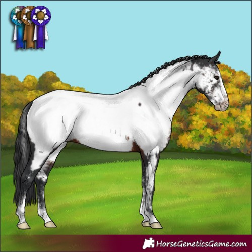 Horse Color:Brown Sabino Frame Near Fewspot