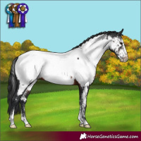 Horse Color:Brown Sabino Frame Near Fewspot
