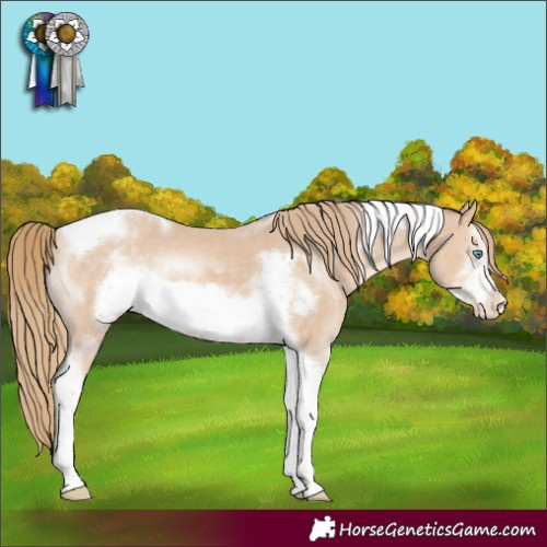 Horse Color:Perlino Sabino Tobiano Frame Appaloosa 