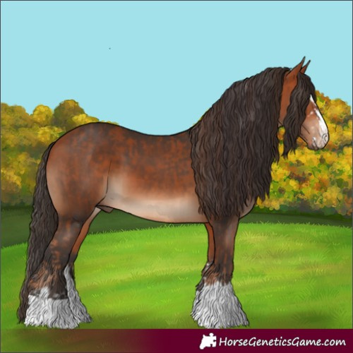 Horse Color:Chestnut and Bay