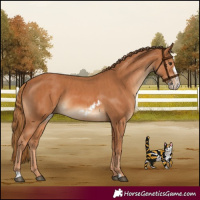Horse Color:Chestnut  and Chestnut Frame 