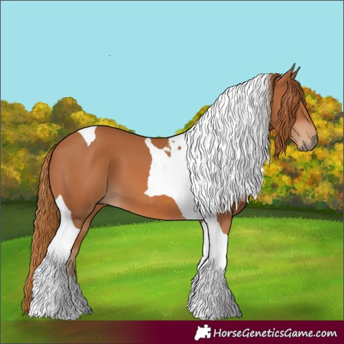 Horse Color:Chestnut Tobiano 