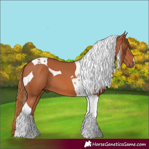 Horse Color:Chestnut Tobiano