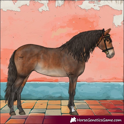 Horse Color:Bay and Bay