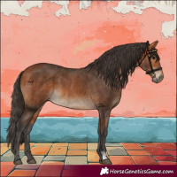 Horse Color:Bay  and Bay 