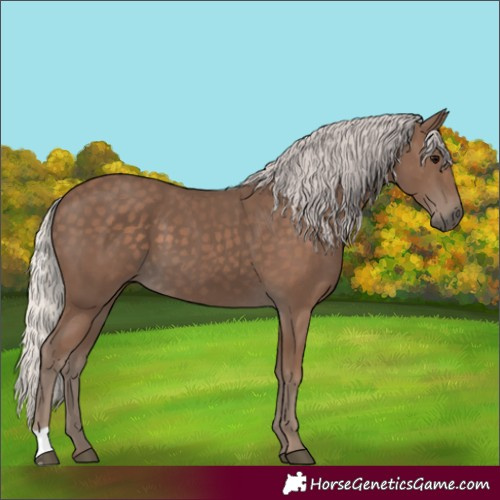 Horse Color:Silver Black
