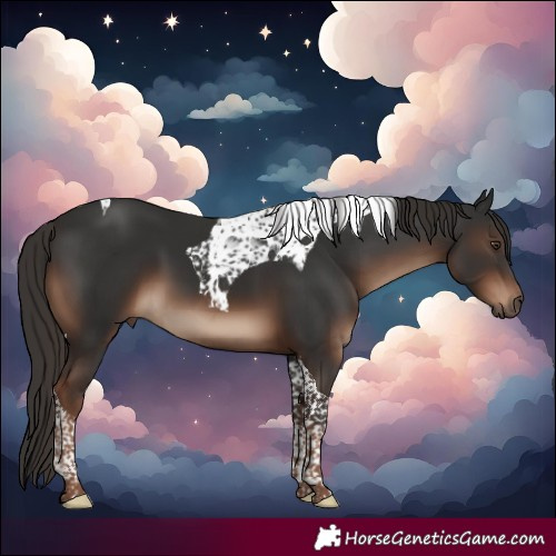Horse Color:Liver Chestnut Tobiano