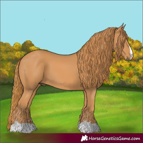 Horse Color:Chestnut 