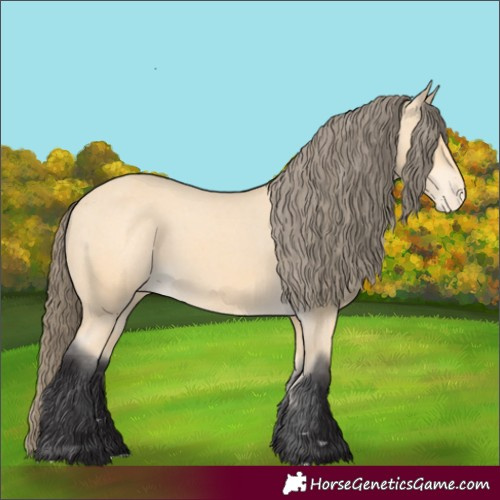 Horse Color:Buckskin Varnish 