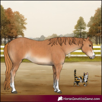 Horse Color:Chestnut and Chestnut