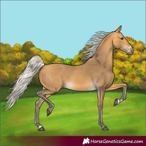 Horse Color:Silver Buckskin