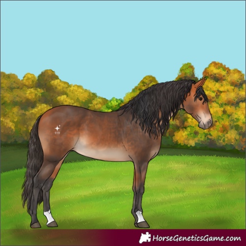 Horse Color:Bay and Bay