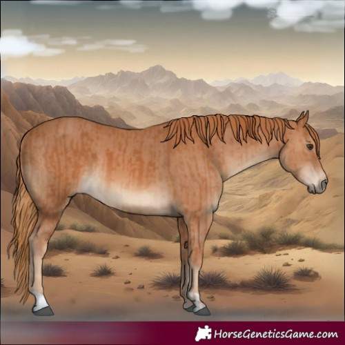 Horse Color:Chestnut  and Chestnut 