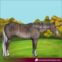 Horse Color:Black and Silver Black