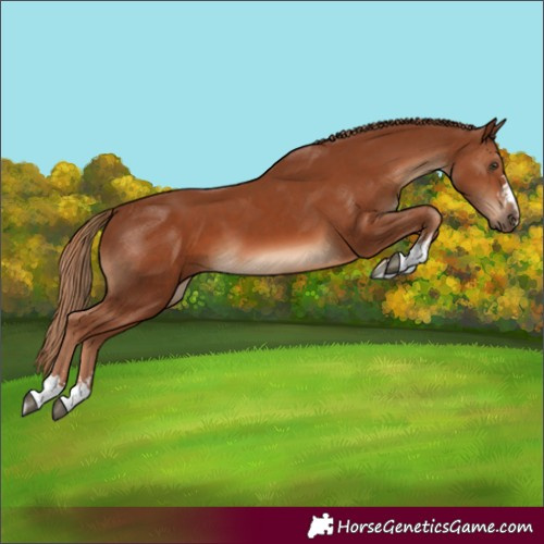 Horse Color:Unknown 