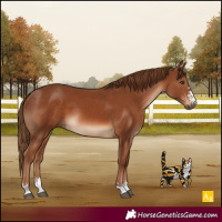 Horse Color:Chestnut and Chestnut