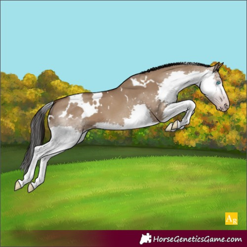 Horse Color:Gray White Spotted Classic Champagne Dun Splash 