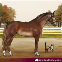 Horse Color:Gray Chestnut  and Gray Chestnut 