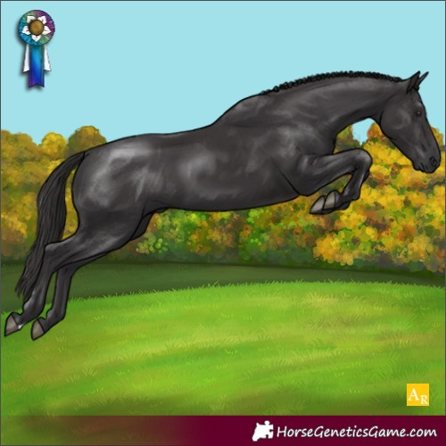Horse Color:Smoky Black 