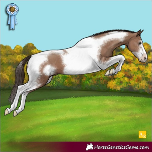 Horse Color:Classic Champagne Tobiano Frame