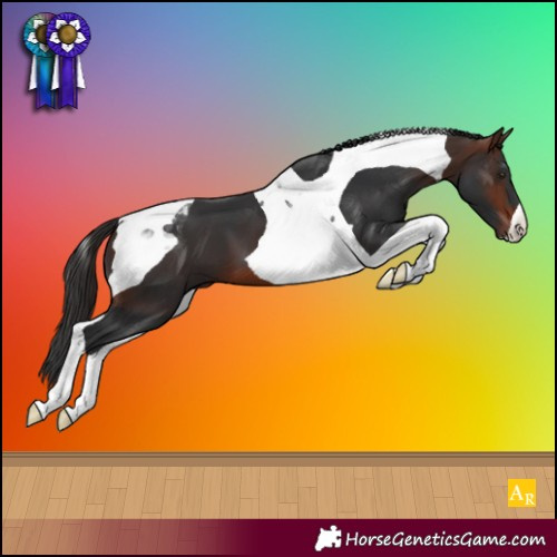Horse Color:Brown Tobiano