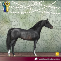 Horse Color:Brown Varnish Rabicano 