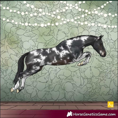 Horse Color:White Spotted Brown