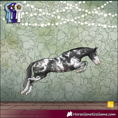 Horse Color:White Spotted Brown Sabino Appaloosa Rabicano