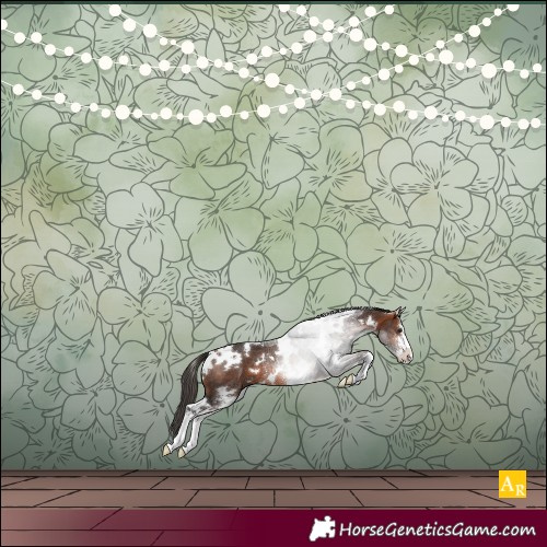 Horse Color:White Spotted Bay Sabino Rabicano 