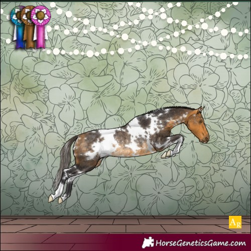 Horse Color:White Spotted Buckskin Rabicano 