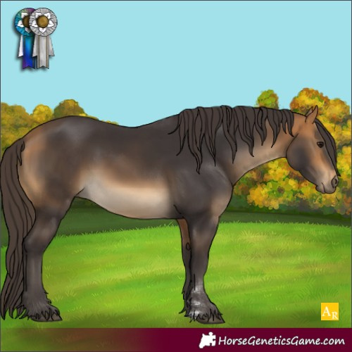 Horse Color:Buckskin 