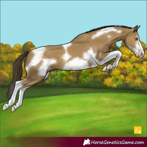Horse Color:Classic Cream Champagne Tobiano Frame